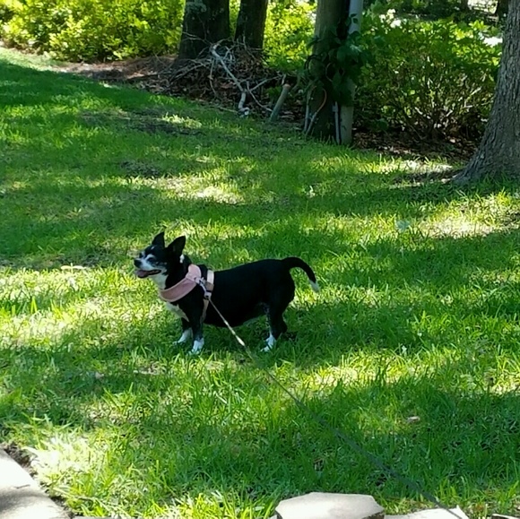 Meet your Posher, Jeannie - Picture 1 of 1